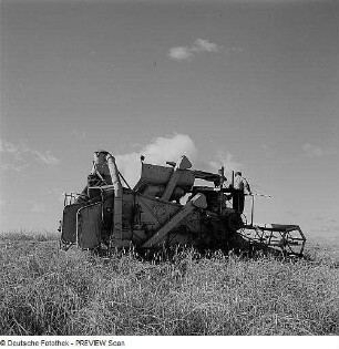 Landwirtschaft