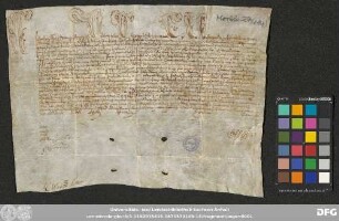 [Halle (Saale), Universitäts- und Landesbibliothek Sachsen-Anhalt, Morbio 27 (114)]