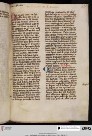 Jacobus de Benevento, Viridarium consolationis