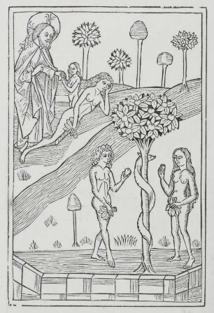 Erschaffung Evas, der Sündenfall, Blatt 14r