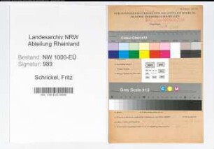 Entnazifizierung Fritz Schrickel, geb. 21.03.1914 (Beamter)