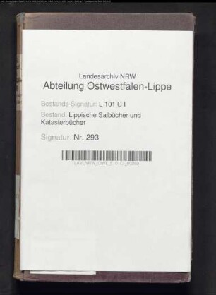 Salbuch der ehem. Vogtei Hohenhausen von 1856, Bd. 4