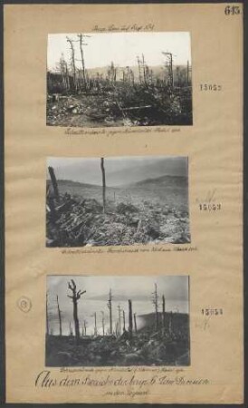 Schratzmännle gegen Münstertal