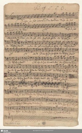 Basso. [Ripieno]