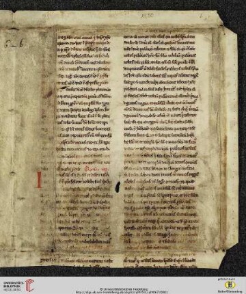 Sermones in epistolas dominicales