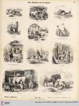 Nro. 166