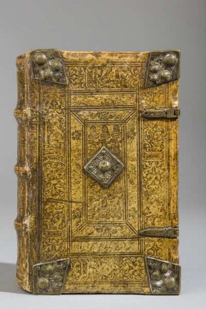 Biblia beider Allt unnd Newen — Beschlag
