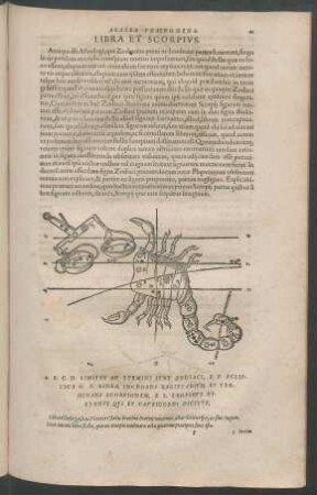 Libra Et Scorpius.