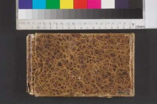 [Stammbuch Carl Minor]