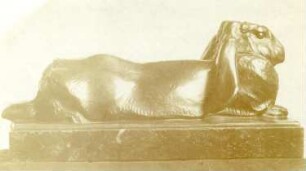Französisches Kaninchen : Französisches Kaninchen. Bronzeguss auf Marmorsockel; Länge 19 cm (um 1910; C. Brose)