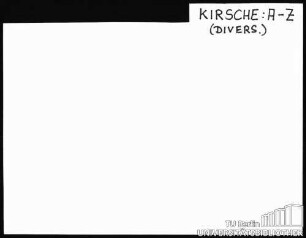 KIRSCHE: Diverses ABS.-ZWEIG