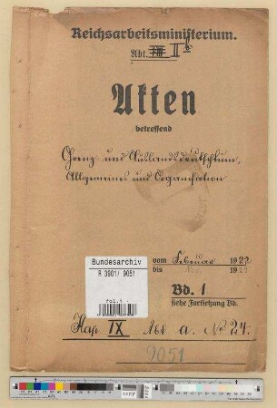 Grenz- und Auslandsdeutschtum, Allgemeines und Organisation