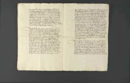 Versicherung König Heinrichs II. von Frankreich gegenüber Herzog Christoph von Württemberg über sein Wohlwollen gegenüber dem Reich.