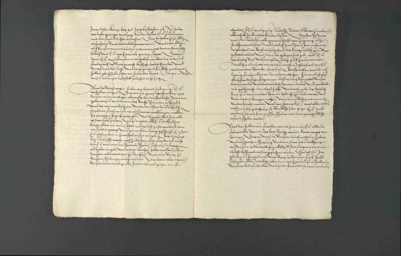 Versicherung König Heinrichs II. von Frankreich gegenüber Herzog Christoph von Württemberg über sein Wohlwollen gegenüber dem Reich.