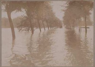 Grimma. Allee bei Hochwasser