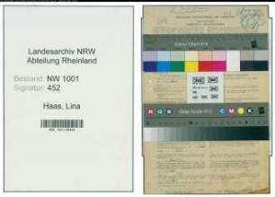Entnazifizierung Lina Haas, geb. 09.07.1899 (Buchhalterin)