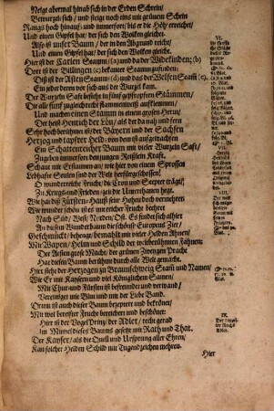 Stamm- und Regentenbaum der Hertzogen zu Braunschweig und Lüneburg