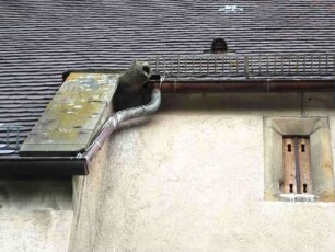 Kirche von Süden-Langhaus - Dachkante im Südosten mit skulpturiertem Wasserspeier sowie ansetzender Rechteckchor mit Schlitzluke im Speicherboden