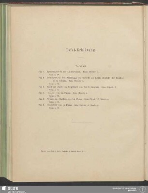 Tafel-Erklärung: Tafel VII