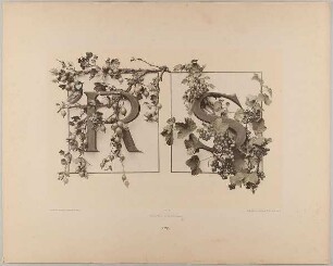 XVII. Initiale R S mit Stachelbeeren und Vogel - Johannisbeeren