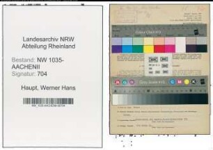 Entnazifizierung Werner Hans Haupt , geb. 12.04.1900 (Bergbeamter)