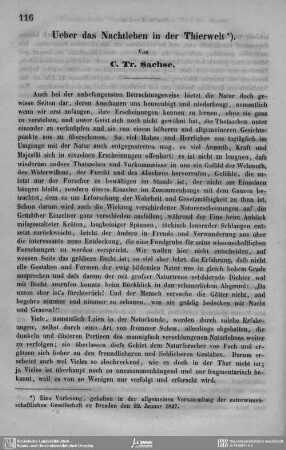 Ueber das Nachtleben in der Thierwelt.