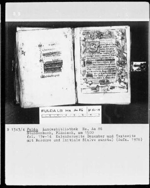Stundenbuch — Initiale S (alve sancta) mit Bordüre, Folio 14 recto