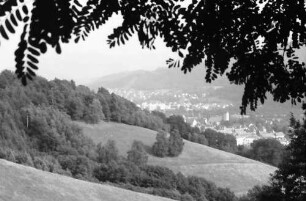 Freiburg: [vom Waldrand, Blick auf Stadtgebiet]