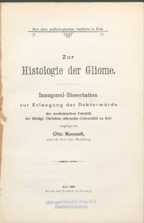 Zur Histologie der Gliome