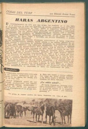 Haras argentino : Cosas del turf
