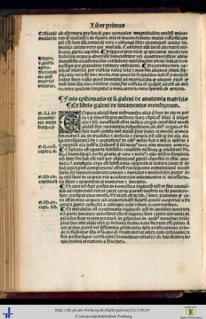 Liber I. speculi medicine.