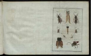 Fig. 1. [bis] Fig. 10