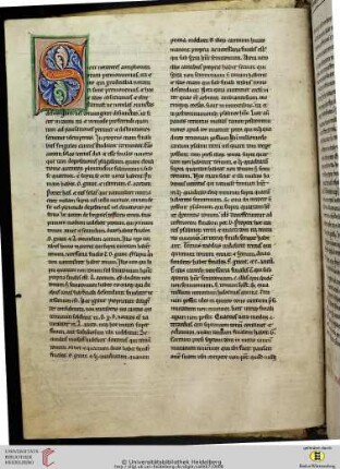 Tractatus cantandi graduale, Bernhard von Clairvaux zugeschrieben