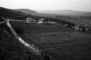 Bickensohl: Weingut Aussiedlerhof bei Bickensohl