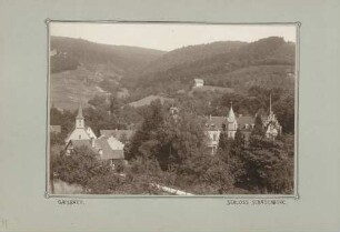 Blick auf Gaisbach und Schloss Schauenburg