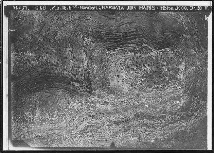 Nordöstl. Charbata ibn Haris