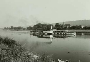 Dresden. Personen-Seitenraddampfer "Leipzig" (1929, Werft Laubegast) auf der Fahrt elbaufwärts bei Dresden-Hosterwitz