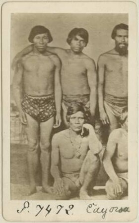 Guarani Kaiowá - Indianer