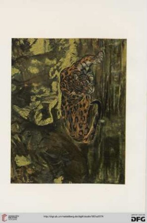 22: The work of J. M. Swan, A.R.A., [2]