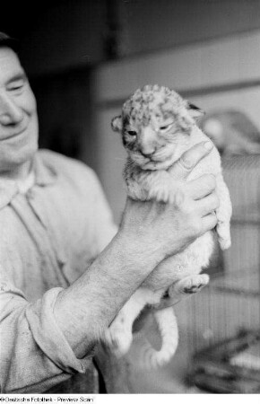 Tierpfleger mit einem Leopardenbaby