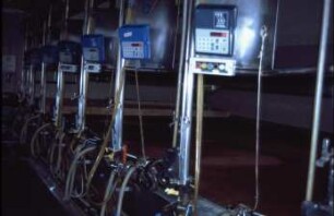 Fotografie: Melktechnik, Melkstand, Milchfluss, Informationstechnik
