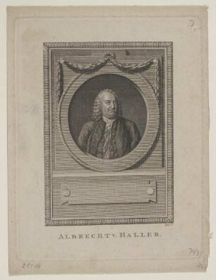 Bildnis des Albrecht v. Haller