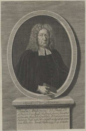 Bildnis des Paulus Antonius