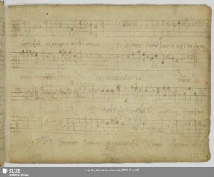 Gallus, Iacobus: Vox tonitrui tui Deus