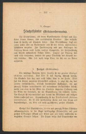 V. Gruppe: Stachelhäuter (Echinodermata).