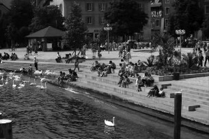 Überlingen: Anlegeplatz mit Treppe und Schwänen