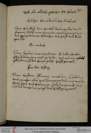 Anonyme medizinische Rezeptsammlung (52 Rezepte)