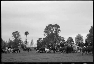 Bad Krozingen: Reitertreffen