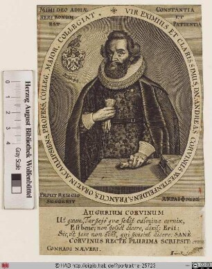Bildnis Andreas Corvinus