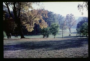 Schlosspark Glienicke 23.10.65.